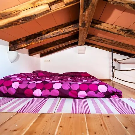 Tomani By 4*